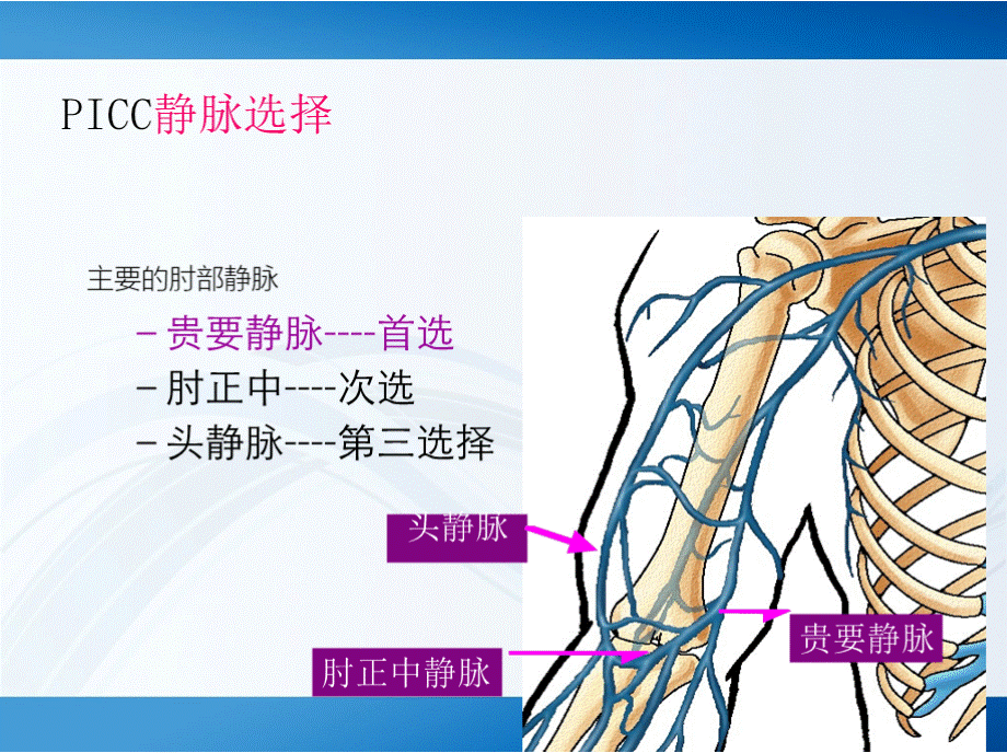 超声引导下改良塞丁格技术PICC置管术.pptx_第3页