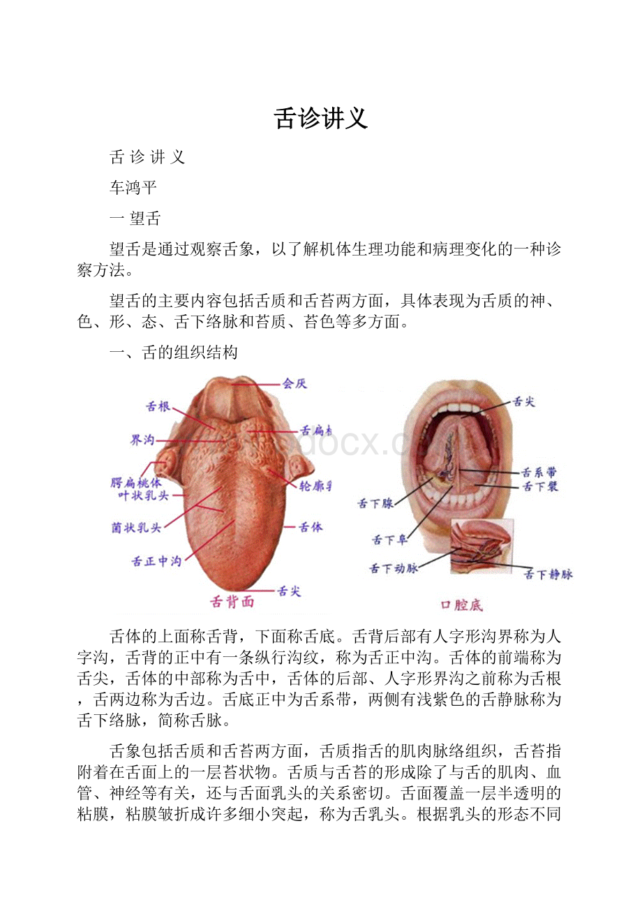 舌诊讲义.docx