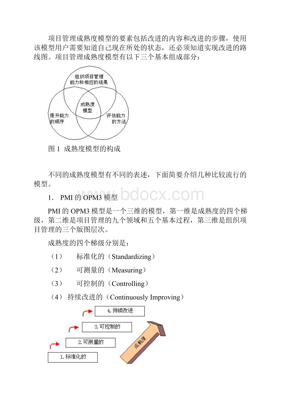 项目管理成熟度模型.docx_第3页