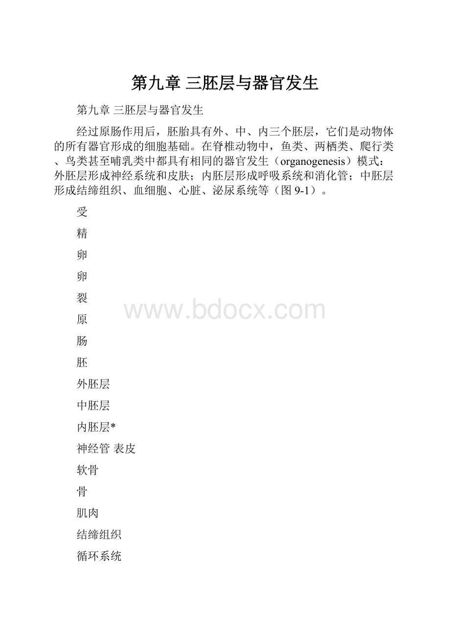 第九章三胚层与器官发生.docx_第1页