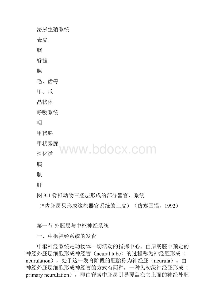 第九章三胚层与器官发生.docx_第2页