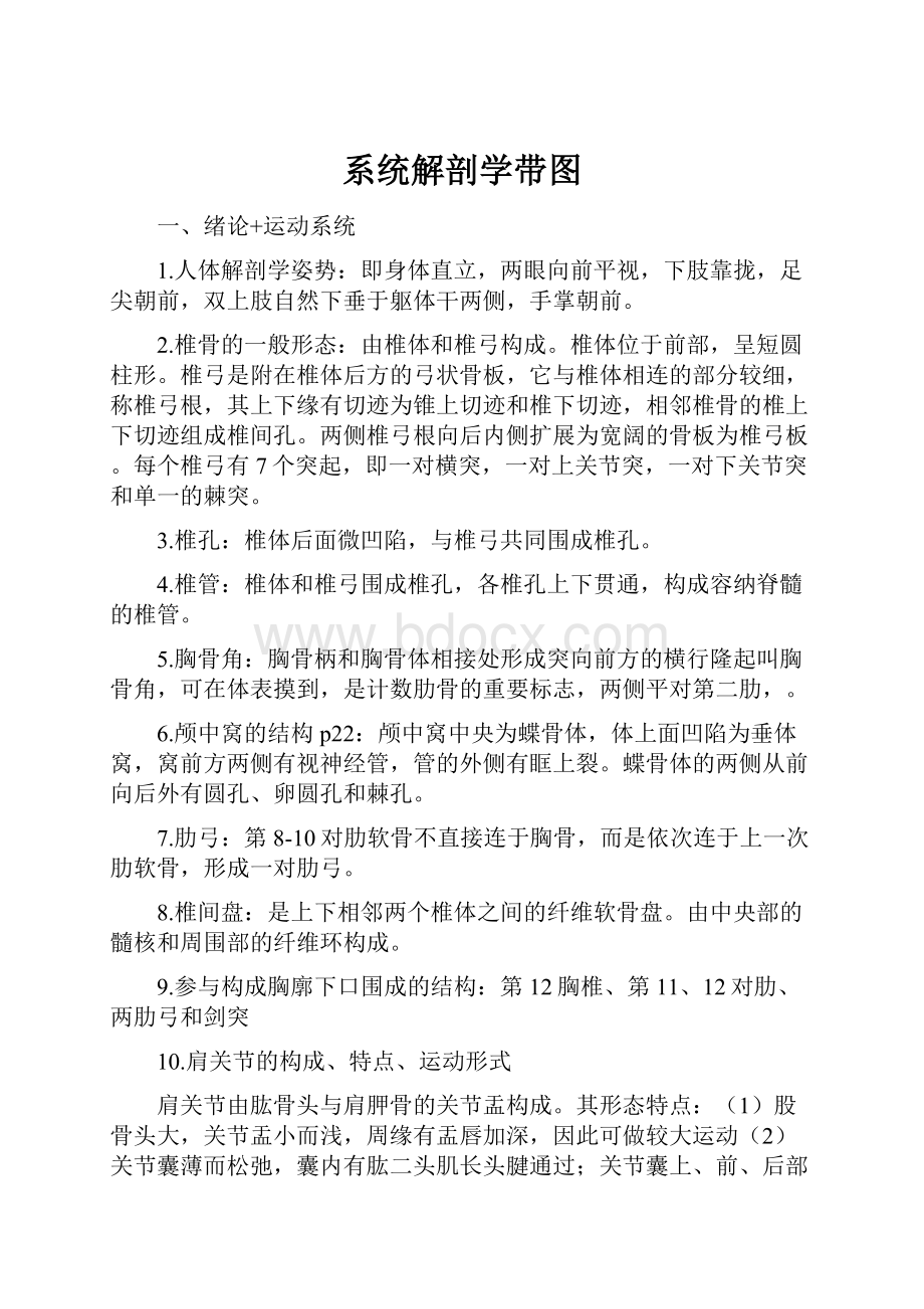 系统解剖学带图.docx