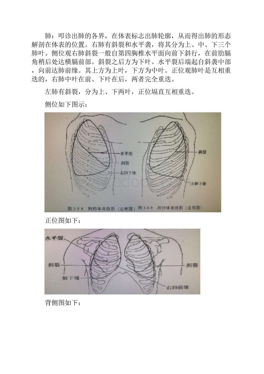 江沿文内脏筋膜学习总结材料1.docx_第2页