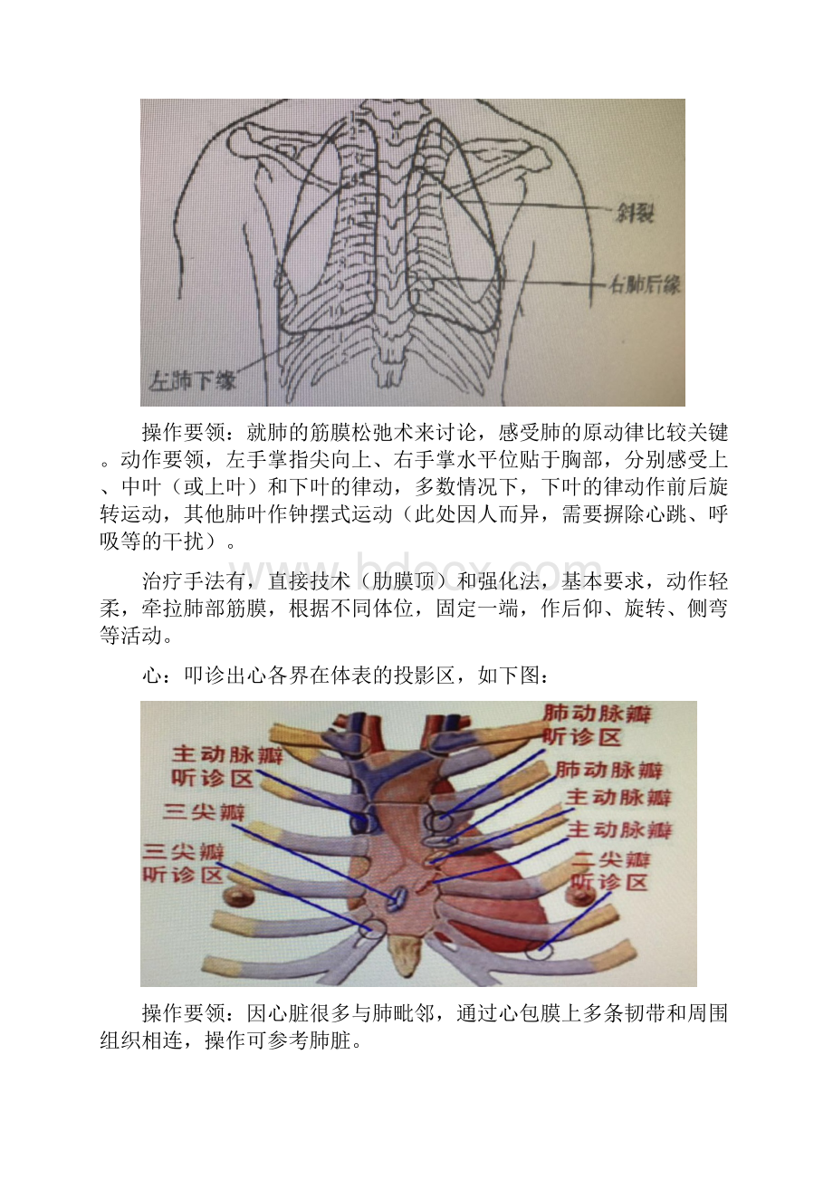 江沿文内脏筋膜学习总结材料1.docx_第3页