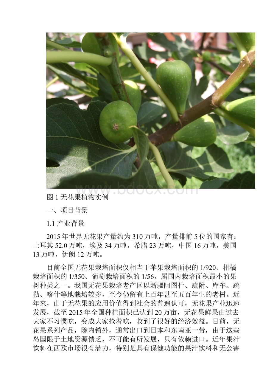 无花果项目商业计划书.docx_第2页