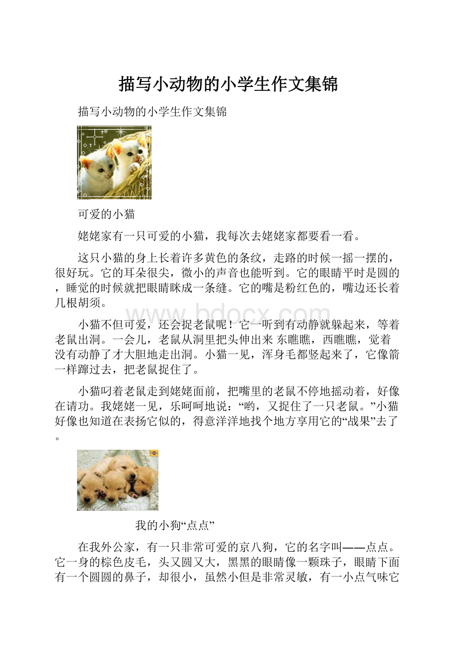 描写小动物的小学生作文集锦.docx_第1页