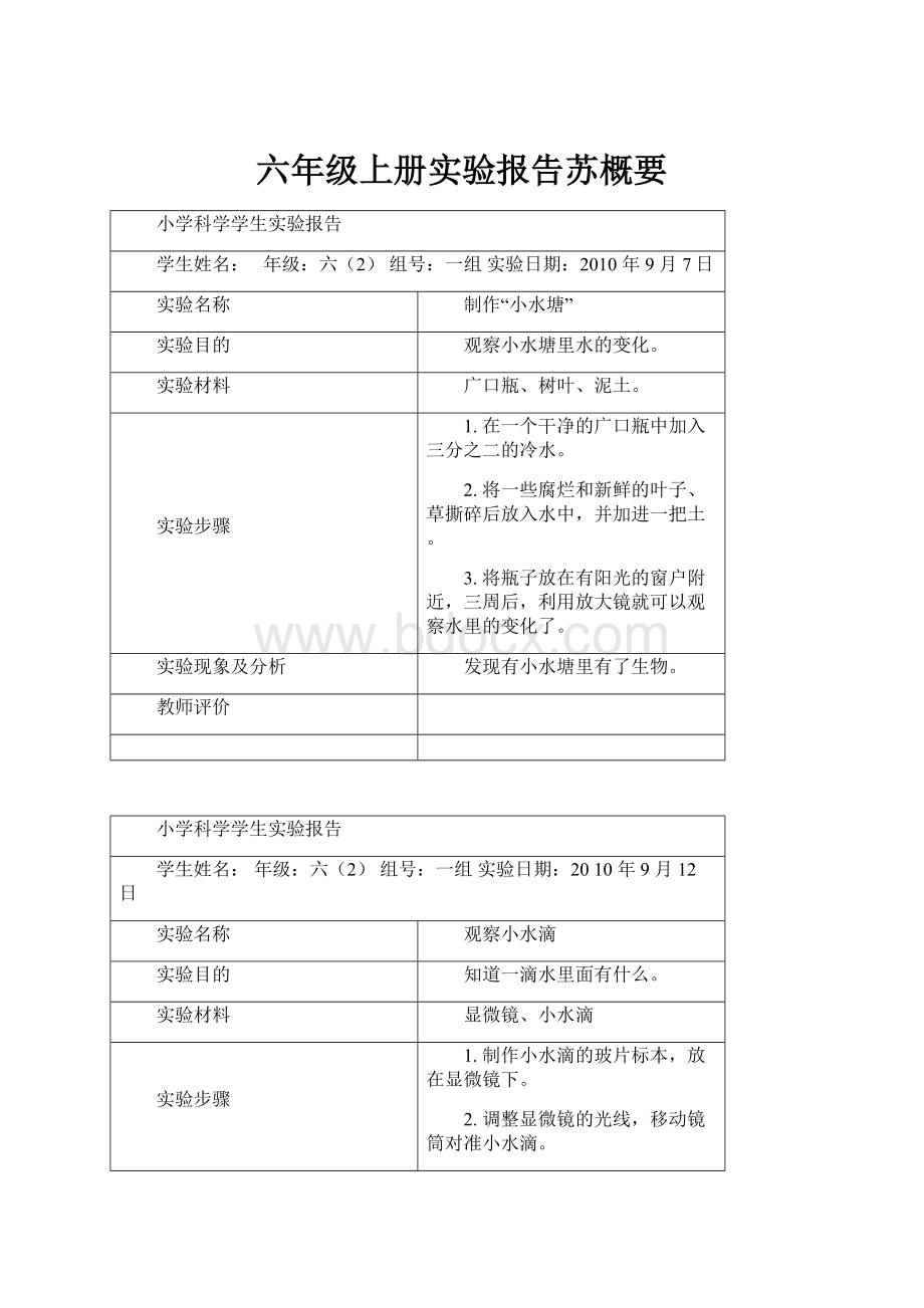 六年级上册实验报告苏概要.docx