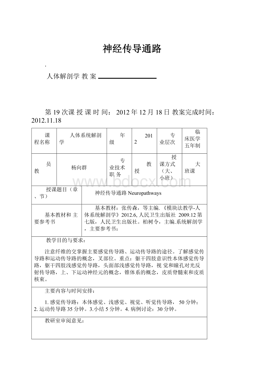 神经传导通路.docx_第1页