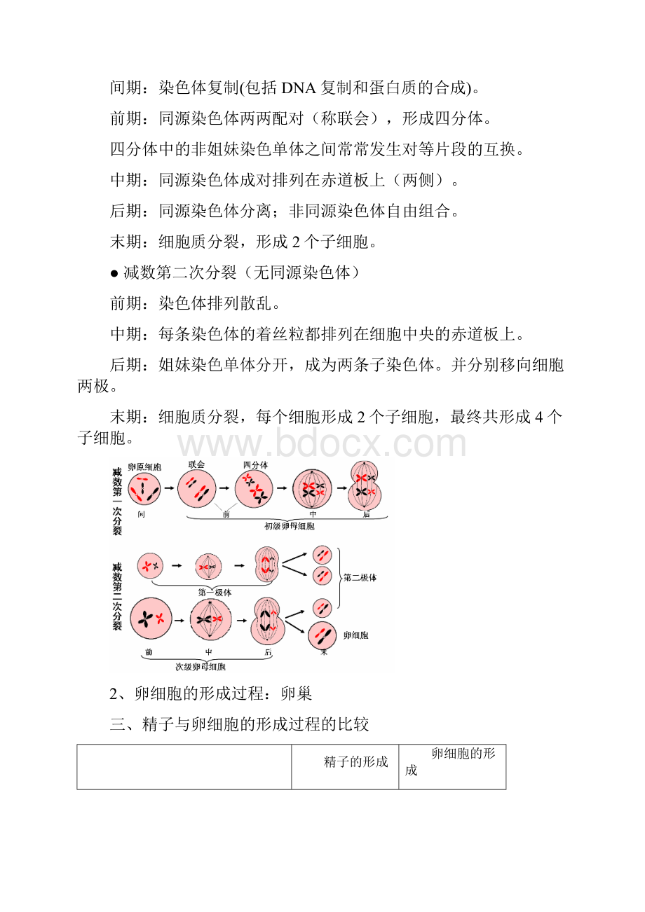 生物必修2知识点Word文档格式.docx_第2页