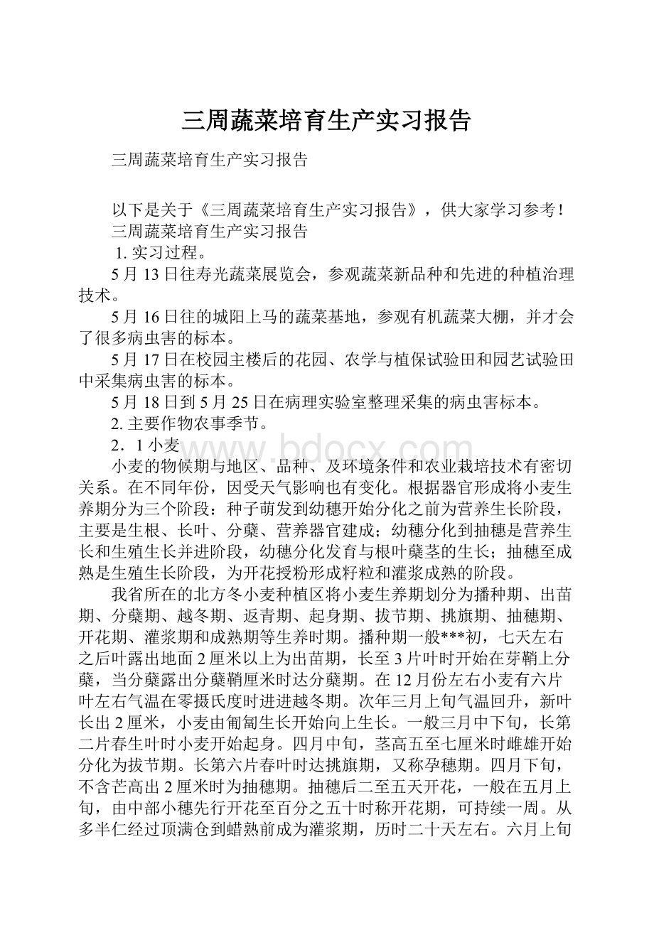 三周蔬菜培育生产实习报告.docx