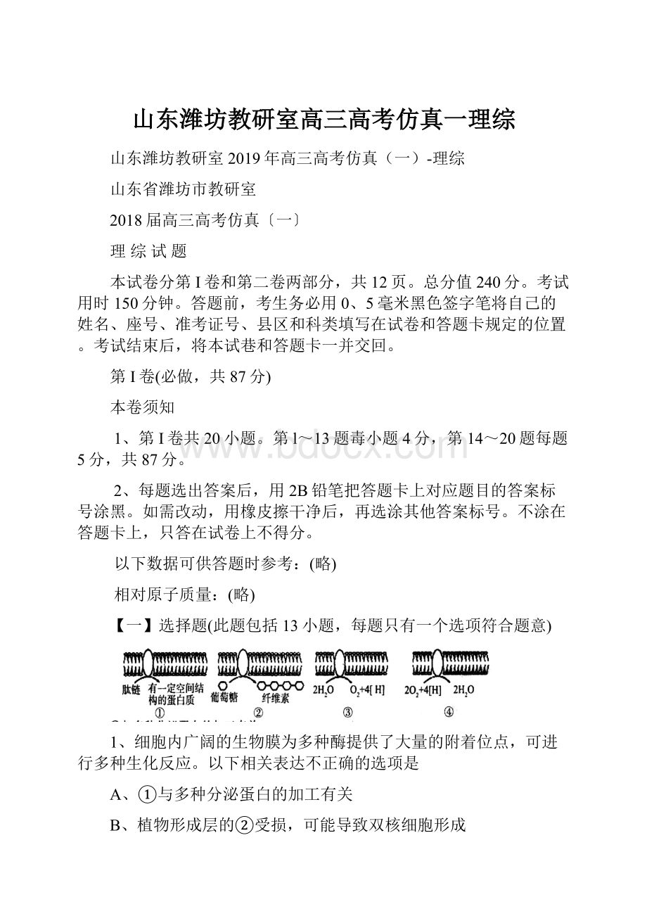 山东潍坊教研室高三高考仿真一理综.docx_第1页