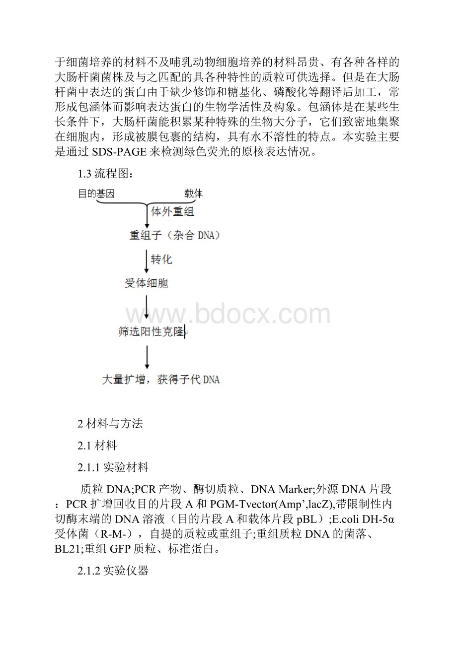 绿色荧光蛋白原核表达分析完整优秀版.docx_第3页