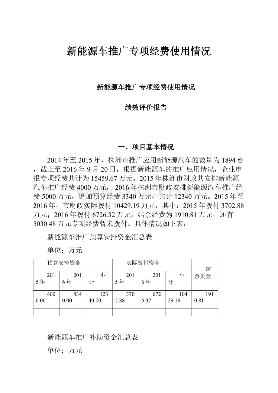 新能源车推广专项经费使用情况Word文档格式.docx_第1页