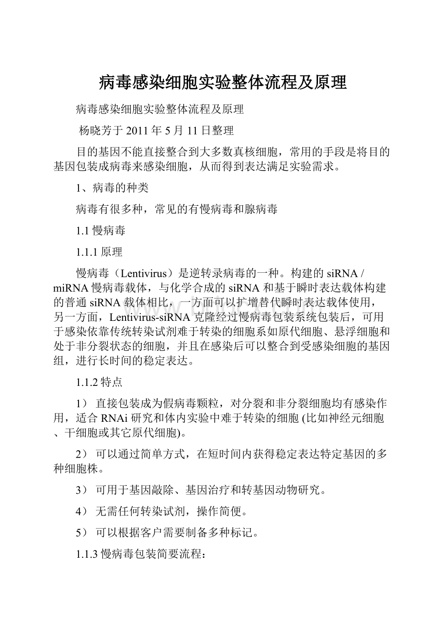 病毒感染细胞实验整体流程及原理文档格式.docx