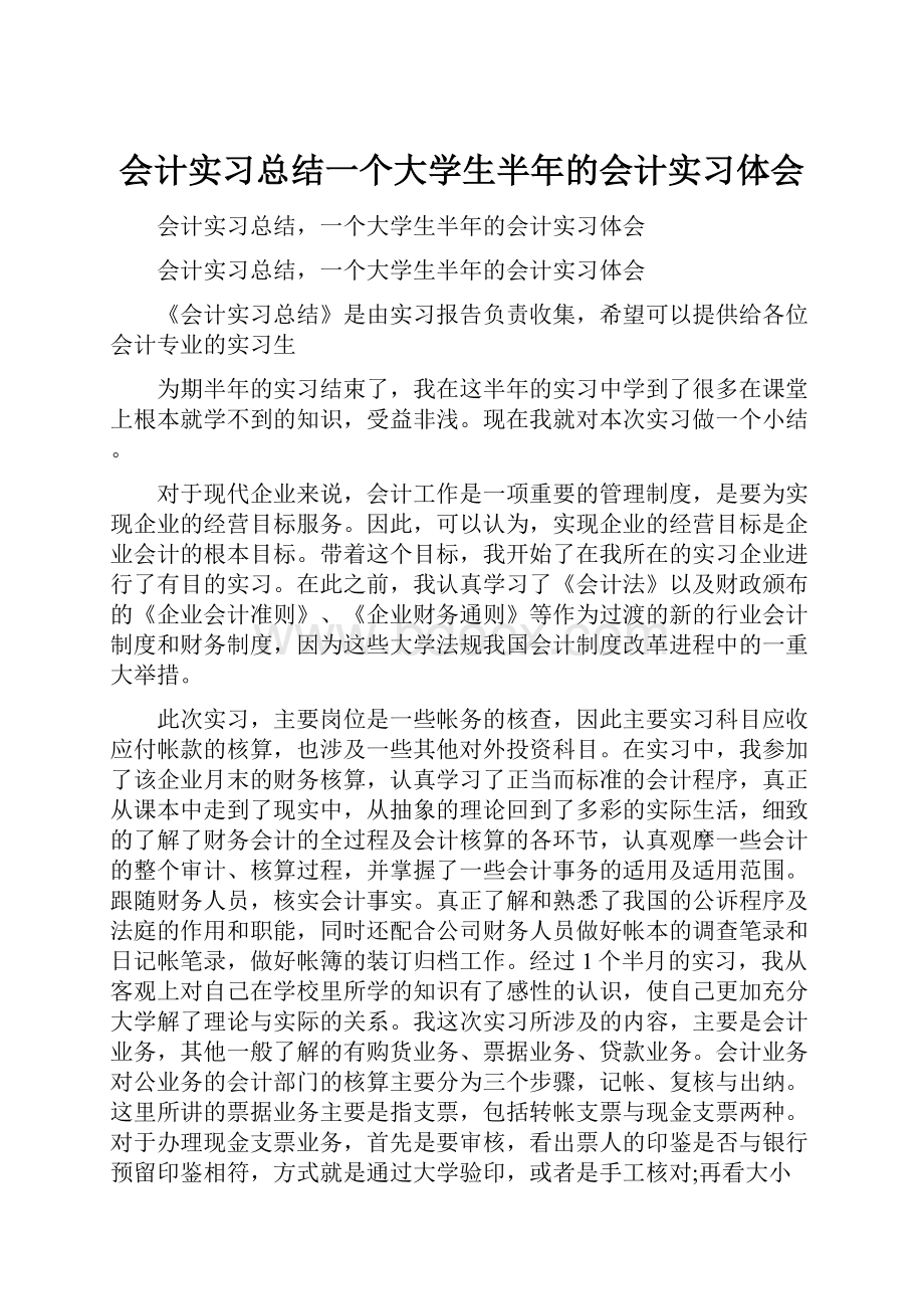 会计实习总结一个大学生半年的会计实习体会Word文档格式.docx