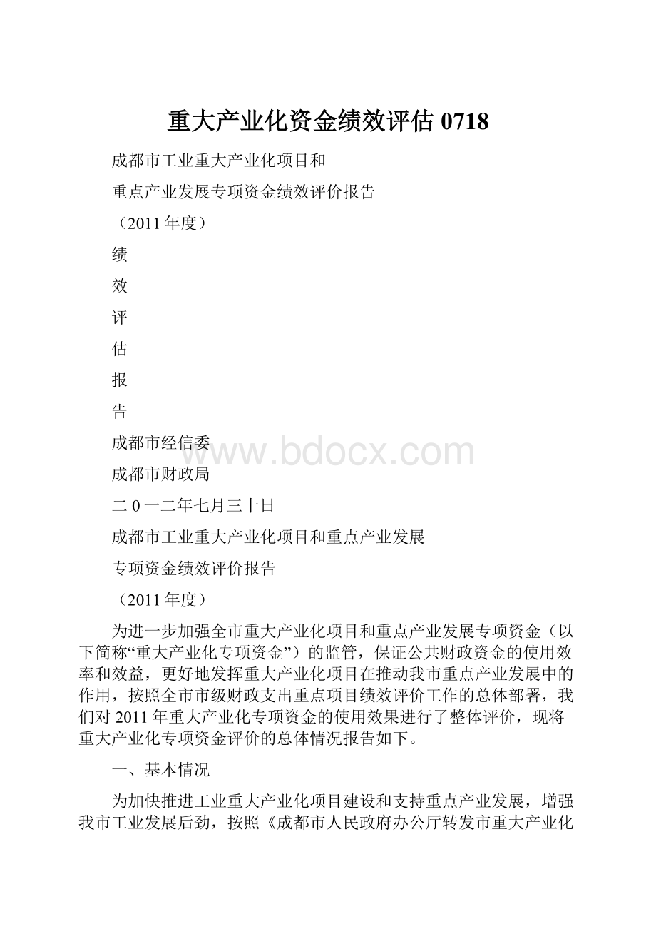 重大产业化资金绩效评估0718Word文档格式.docx_第1页