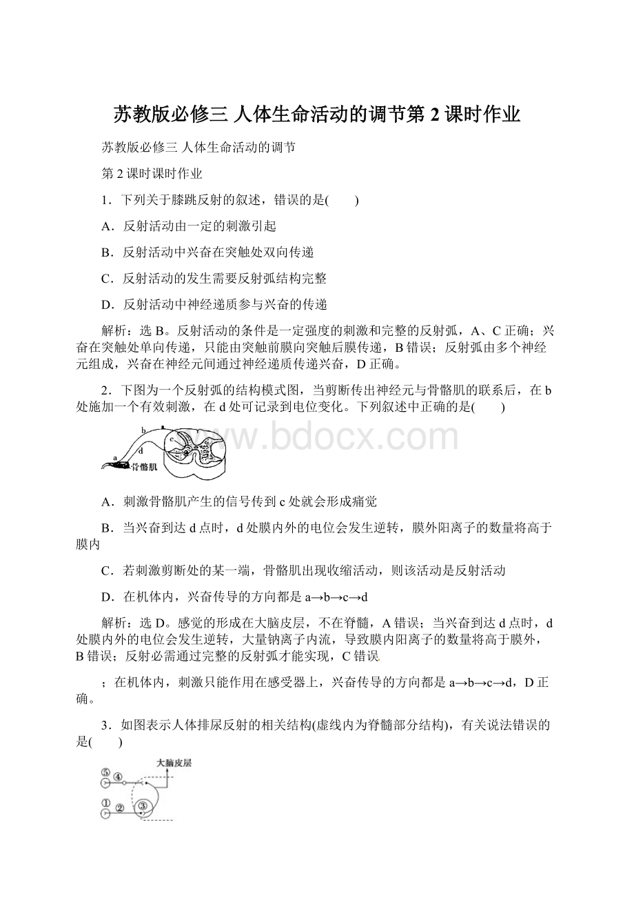 苏教版必修三人体生命活动的调节第2课时作业Word文件下载.docx