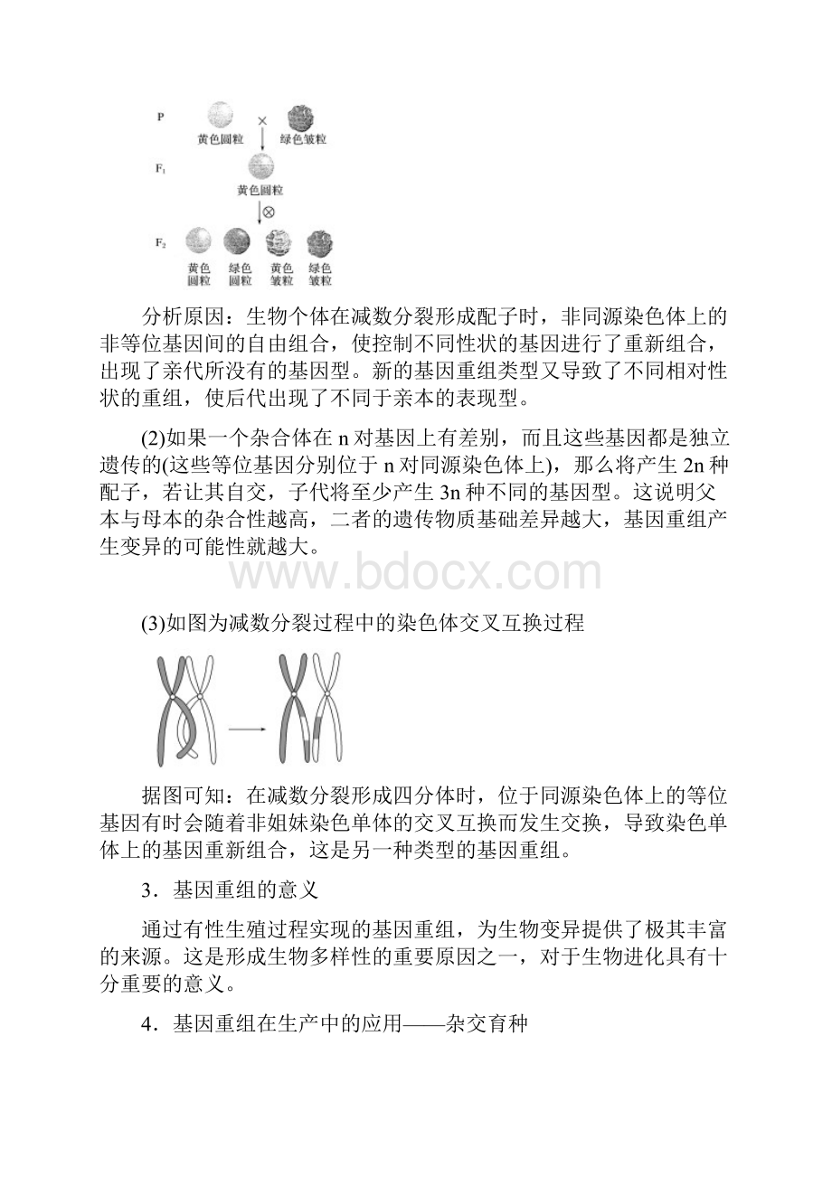 精品学年高中生物第5章遗传信息的改变第课时基因重组教学案北师大版必修2.docx_第2页