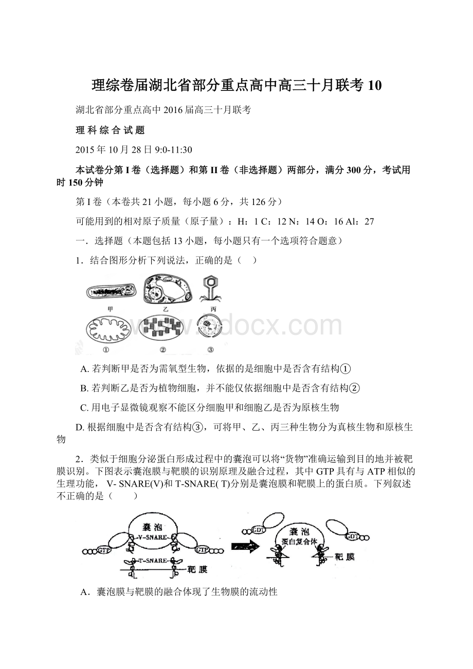 理综卷届湖北省部分重点高中高三十月联考10Word下载.docx