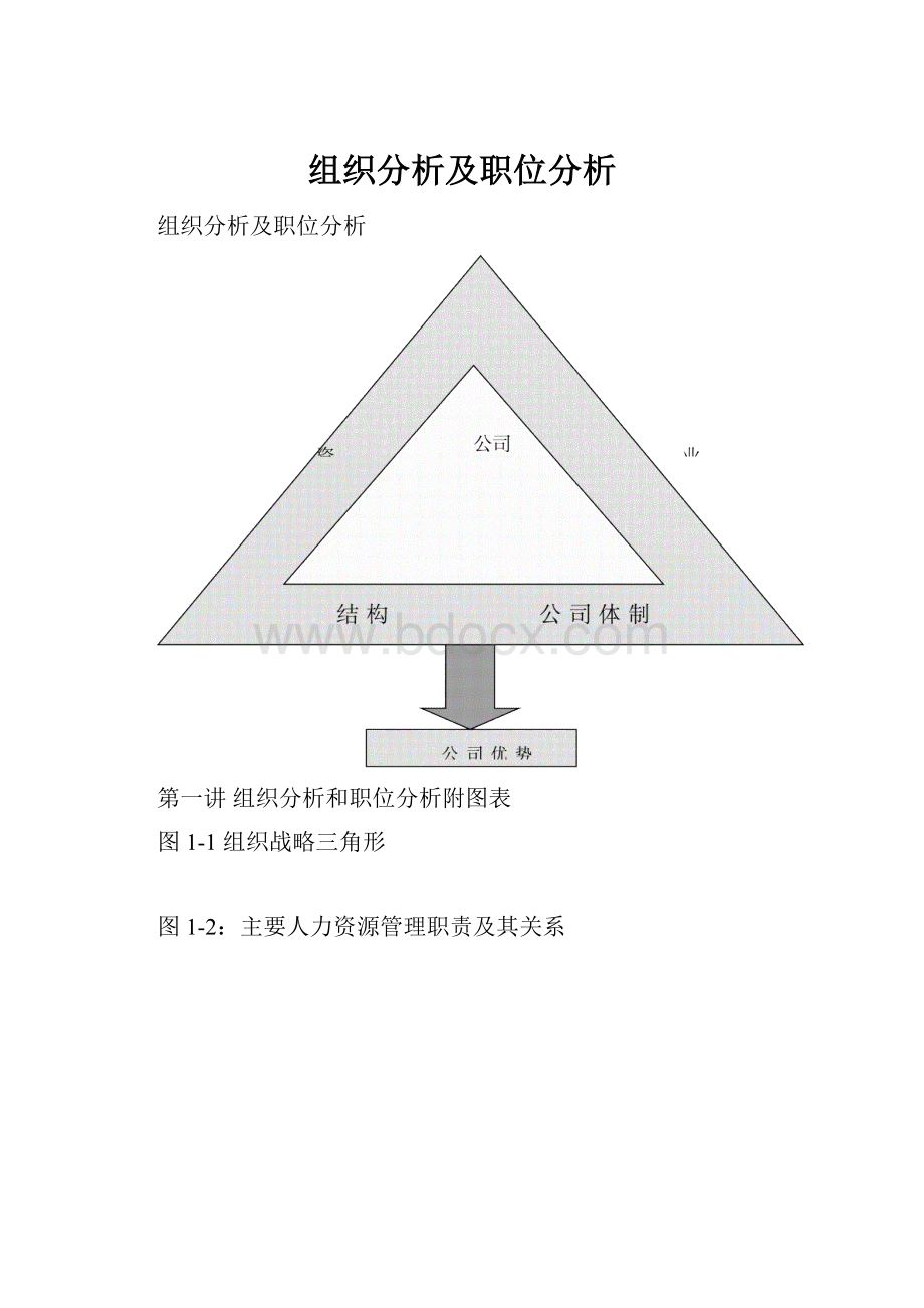 组织分析及职位分析Word格式.docx