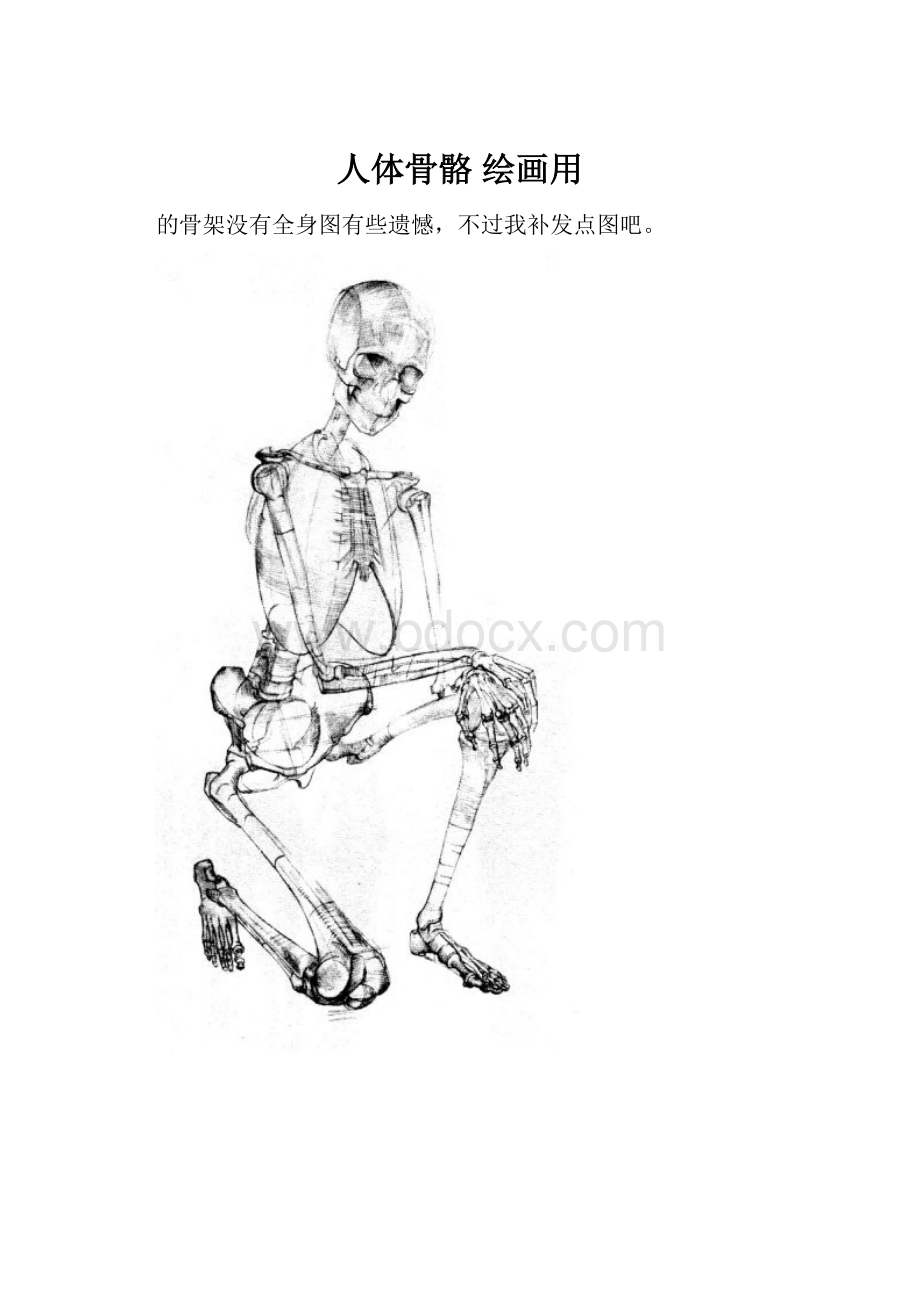 人体骨骼 绘画用.docx