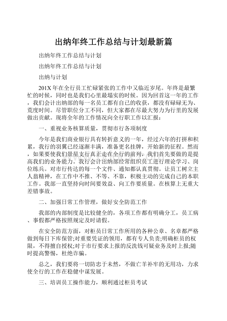 出纳年终工作总结与计划最新篇Word格式文档下载.docx