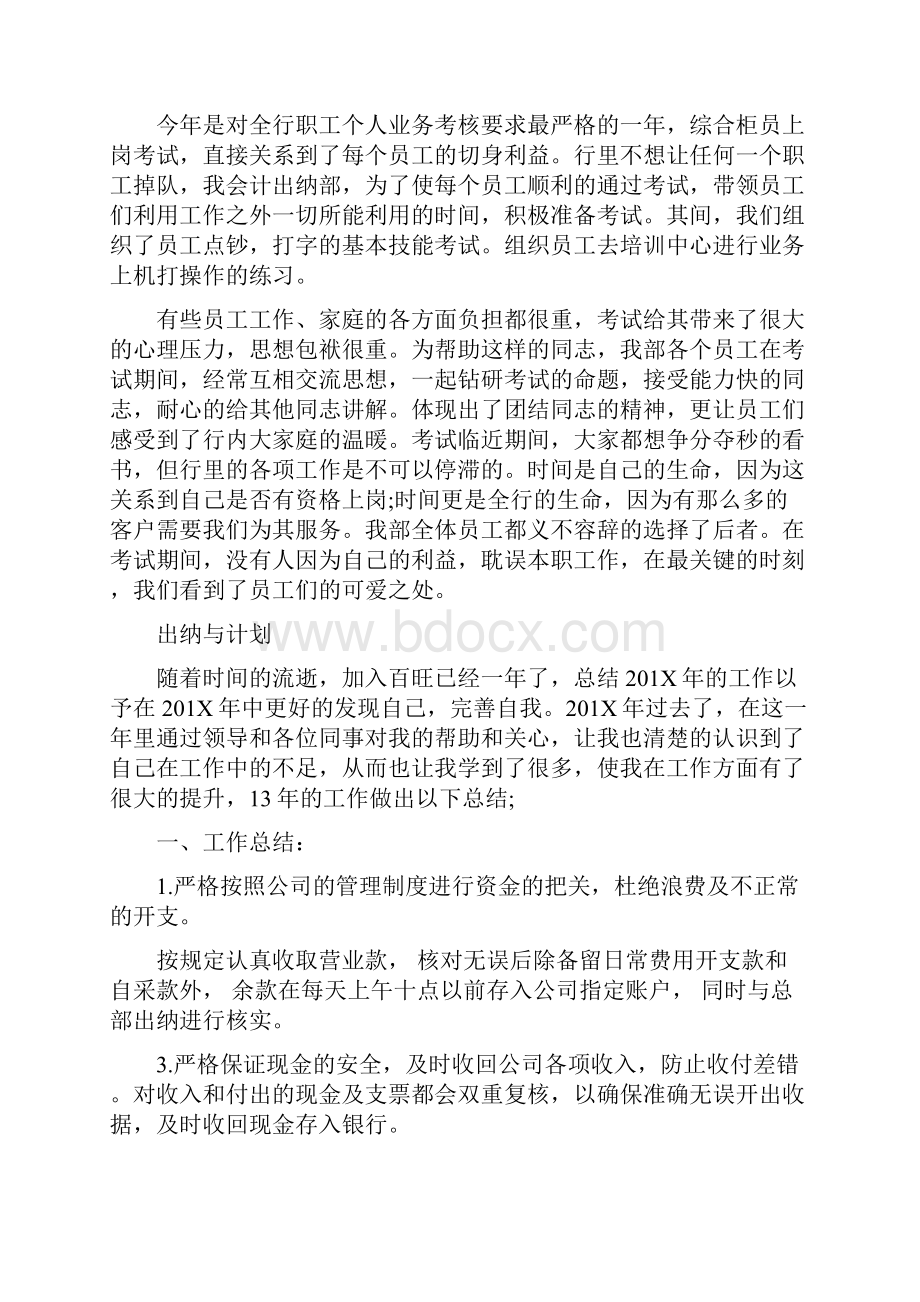 出纳年终工作总结与计划最新篇.docx_第2页