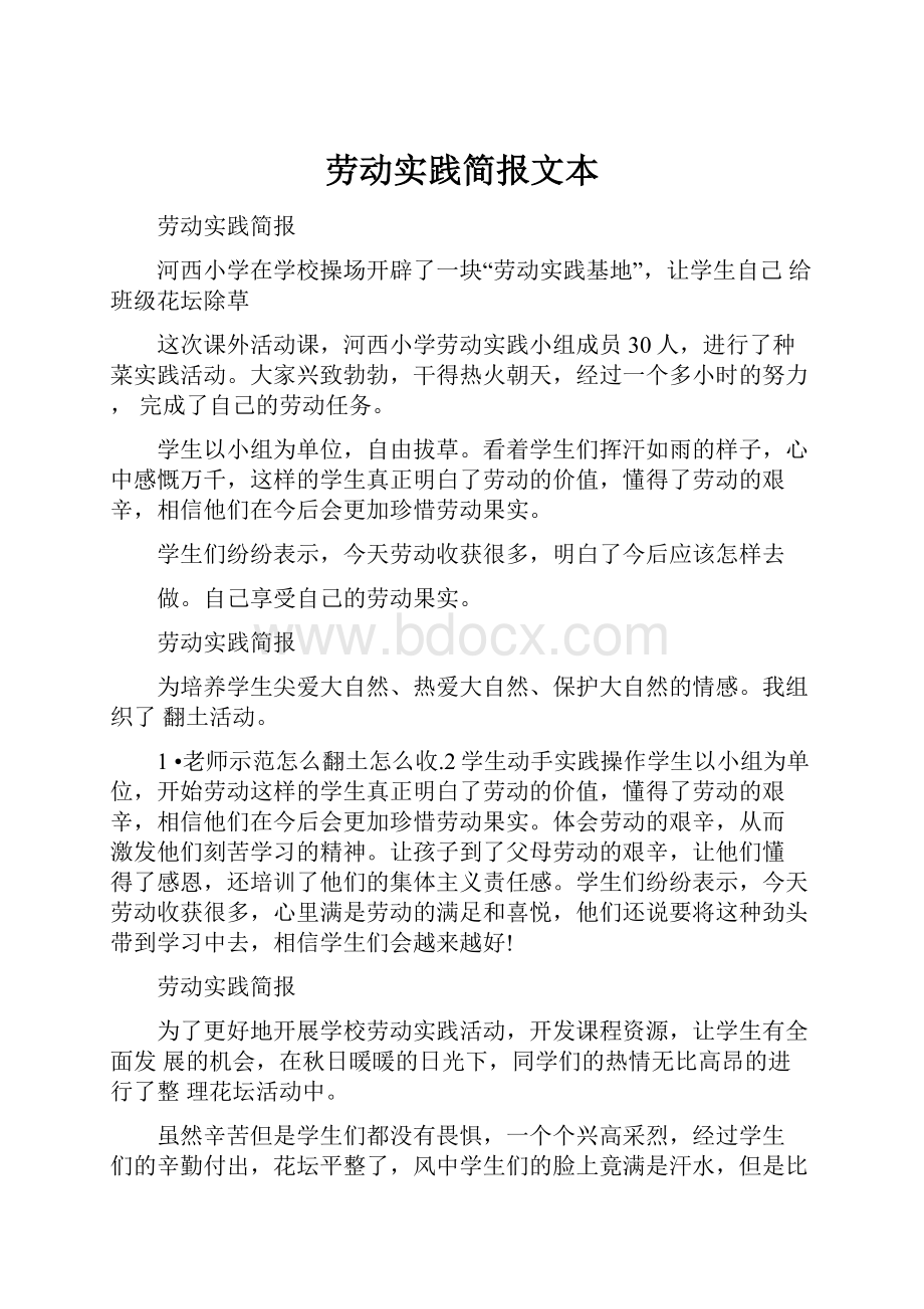 劳动实践简报文本Word文档格式.docx_第1页