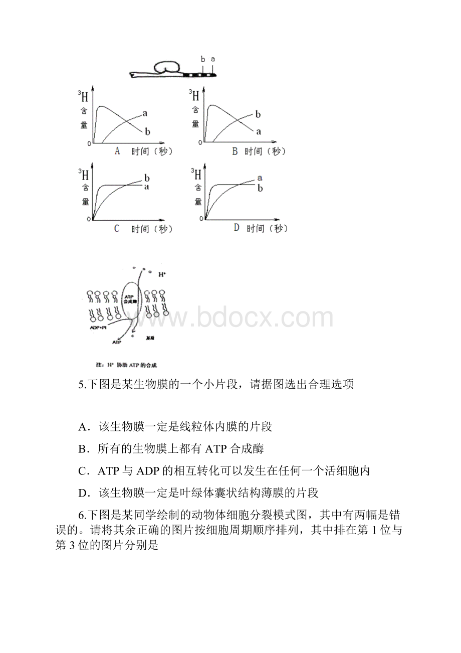 最新广东省深圳高级中学学年高一生物下学期期中Word文件下载.docx_第3页