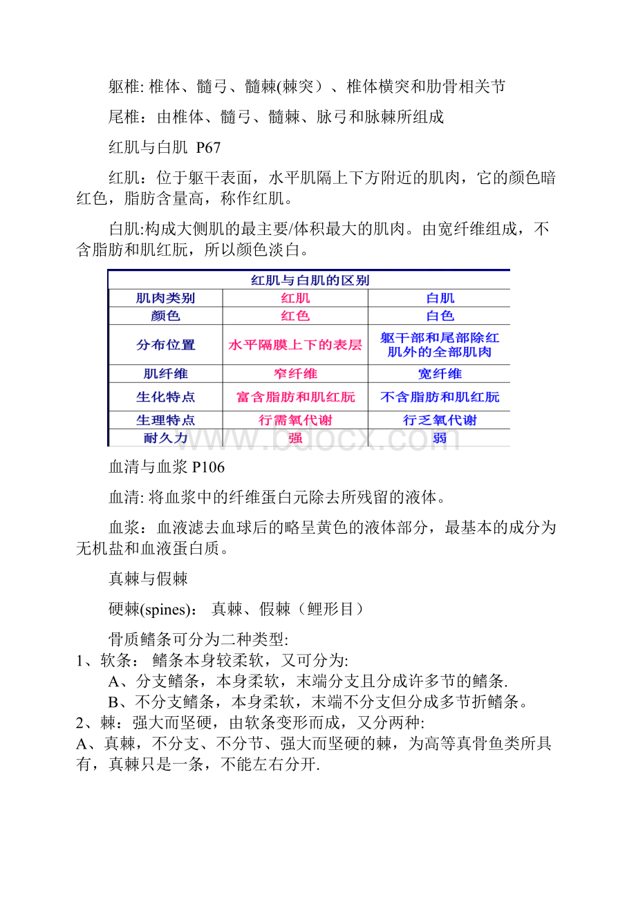 鱼类学形态学复习题Word文档格式.docx_第3页