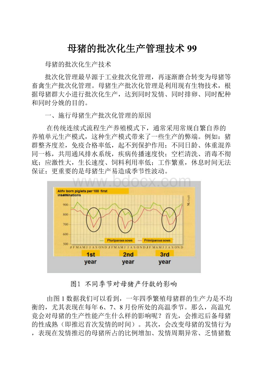 母猪的批次化生产管理技术99Word格式.docx_第1页