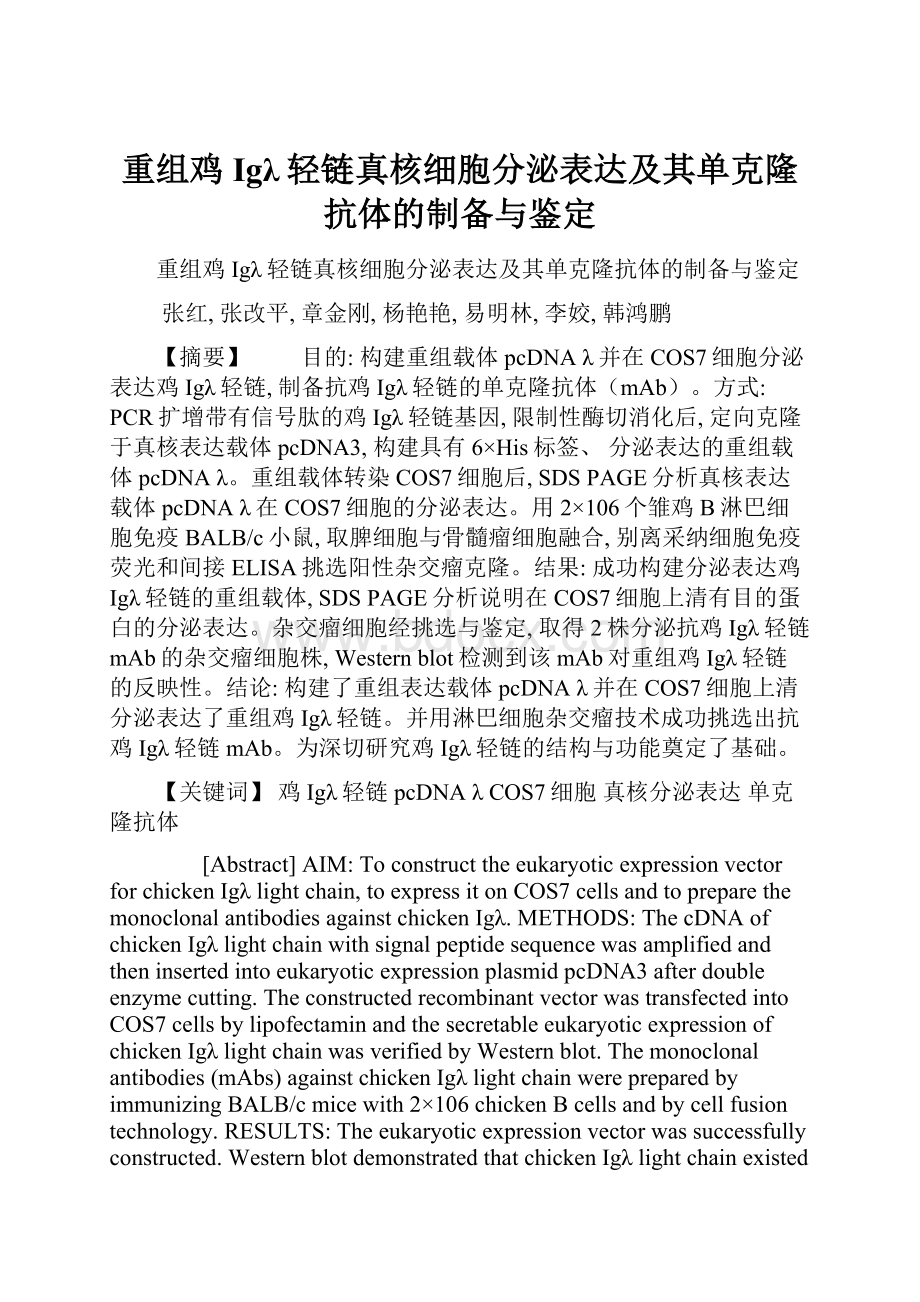 重组鸡Igλ轻链真核细胞分泌表达及其单克隆抗体的制备与鉴定.docx_第1页