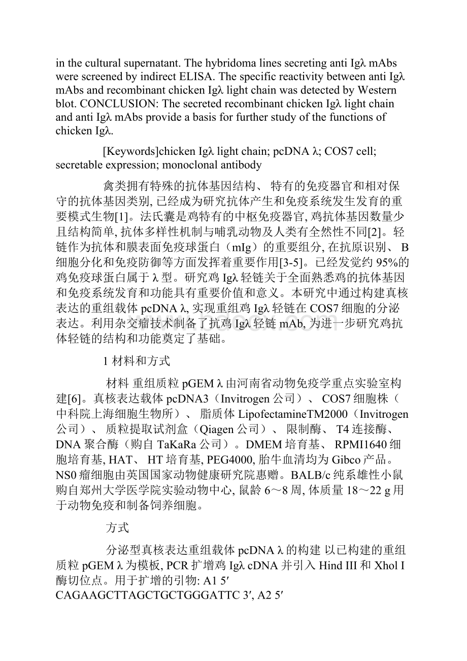 重组鸡Igλ轻链真核细胞分泌表达及其单克隆抗体的制备与鉴定.docx_第2页