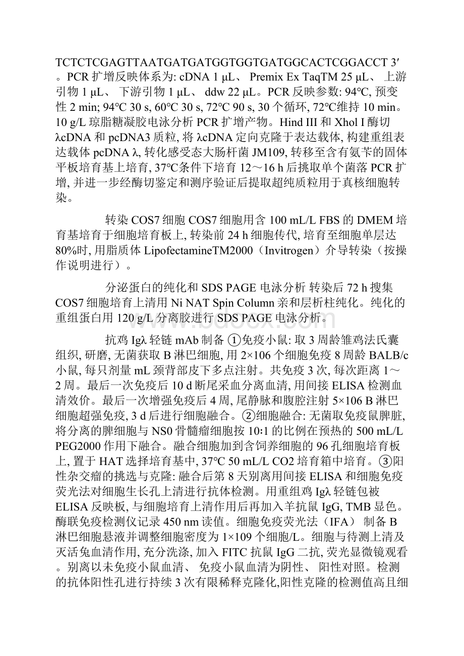 重组鸡Igλ轻链真核细胞分泌表达及其单克隆抗体的制备与鉴定.docx_第3页