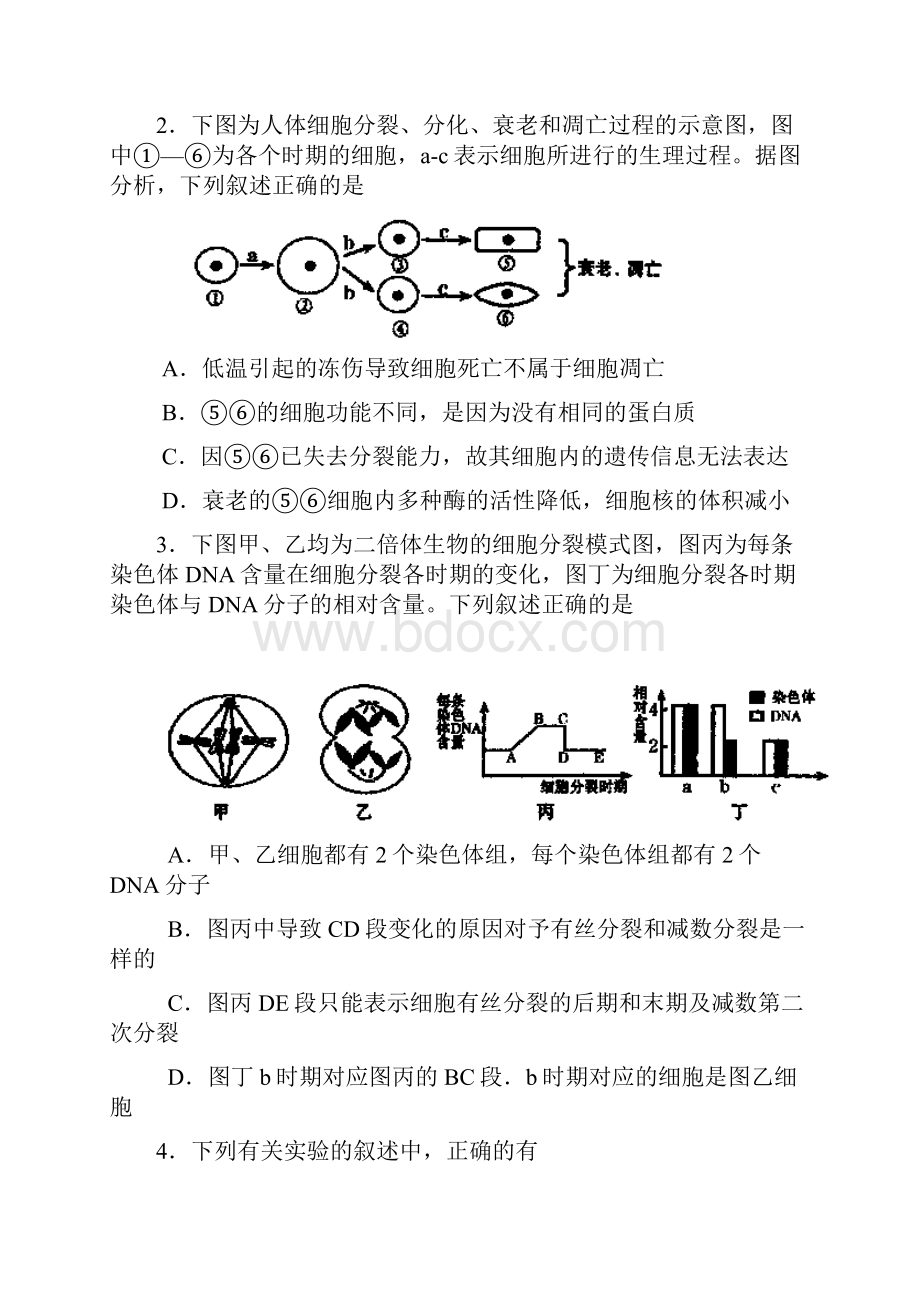 高三模拟考试理综含答案.docx_第2页