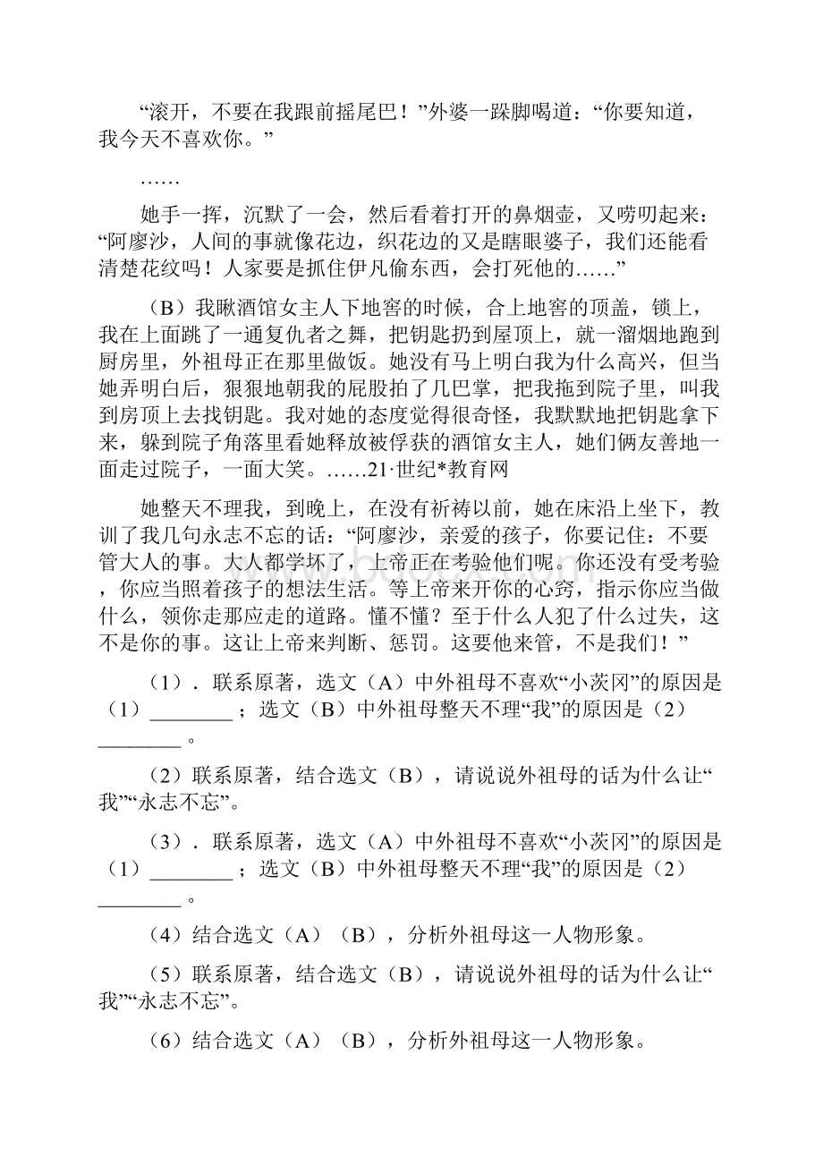 河大版备考中考语文一轮基础复习专题14 名著导读I卷.docx_第2页