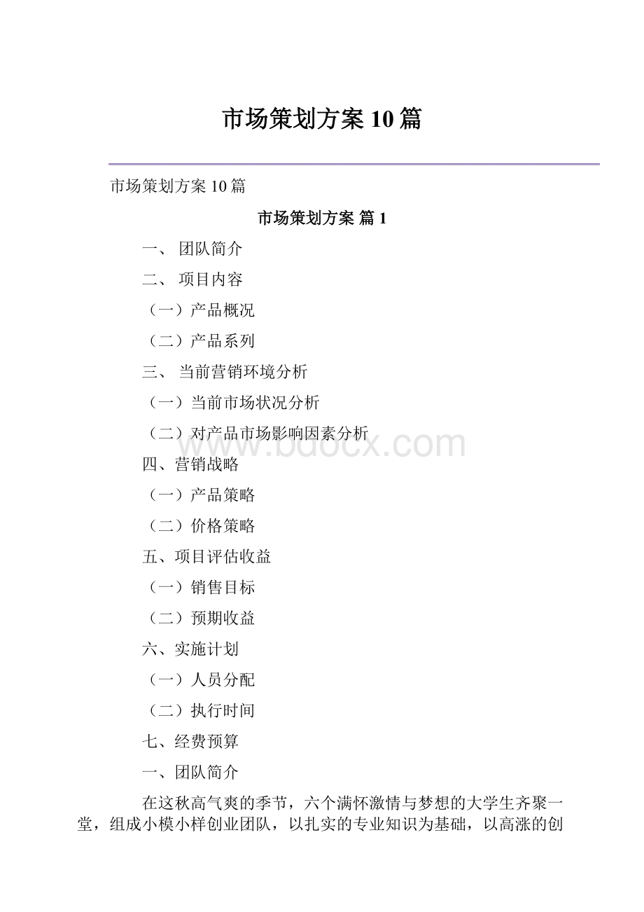 市场策划方案10篇Word格式文档下载.docx_第1页