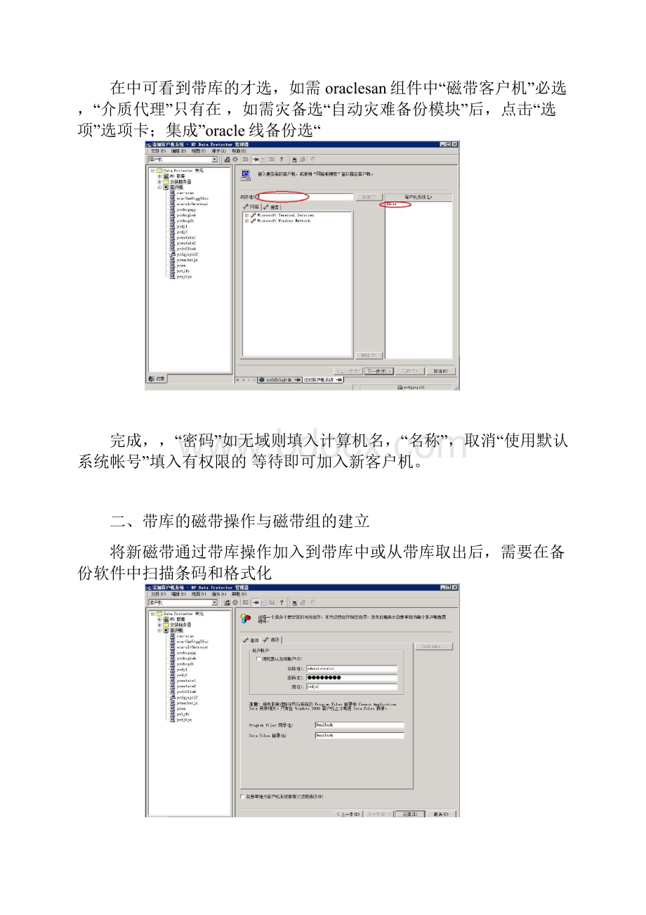 HPDP备份软件设置.docx_第3页