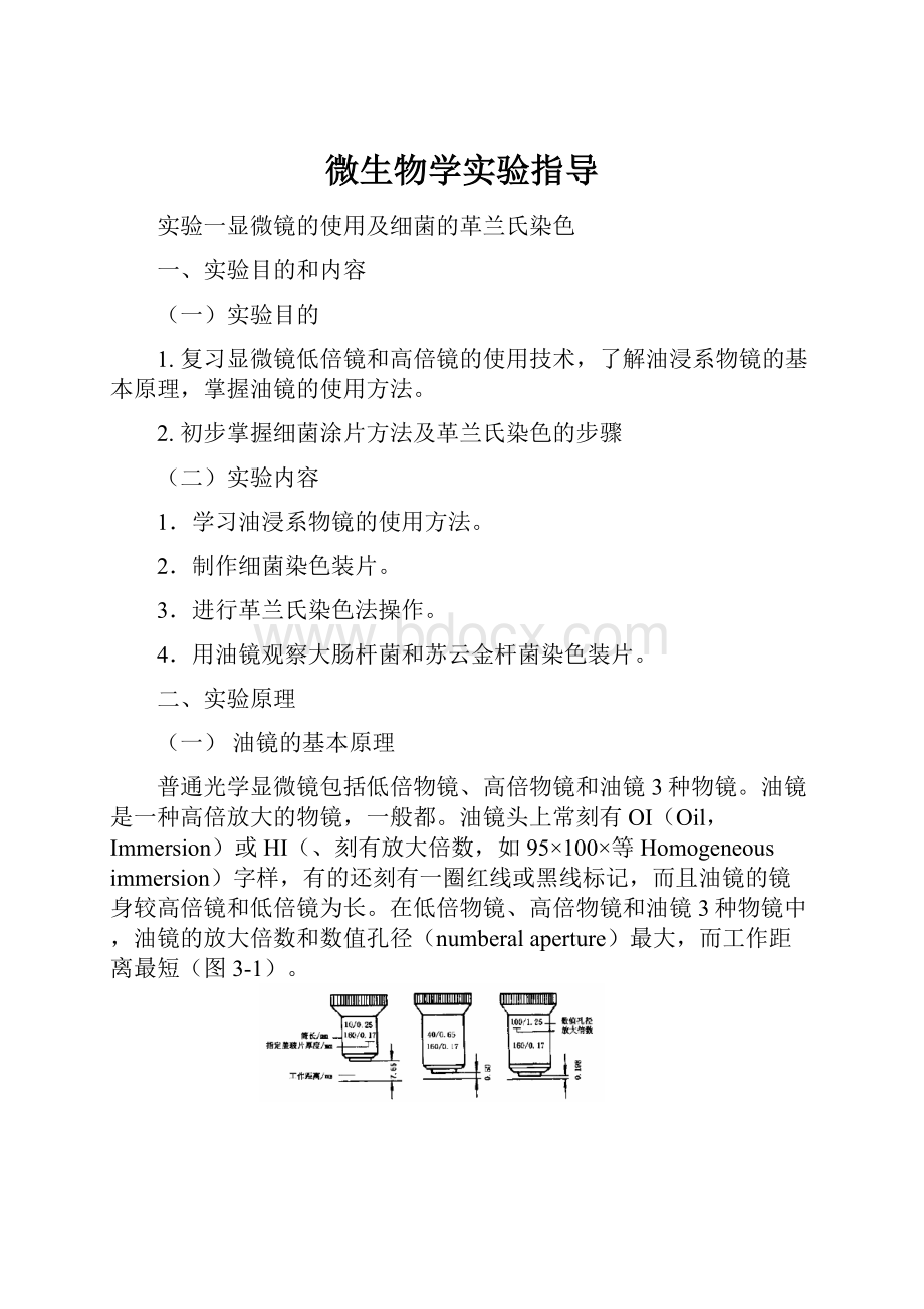 微生物学实验指导Word文档下载推荐.docx_第1页