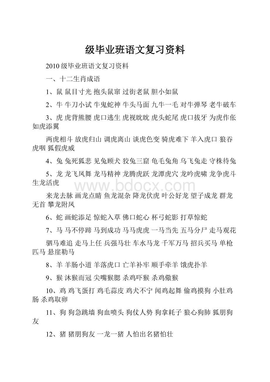 级毕业班语文复习资料.docx