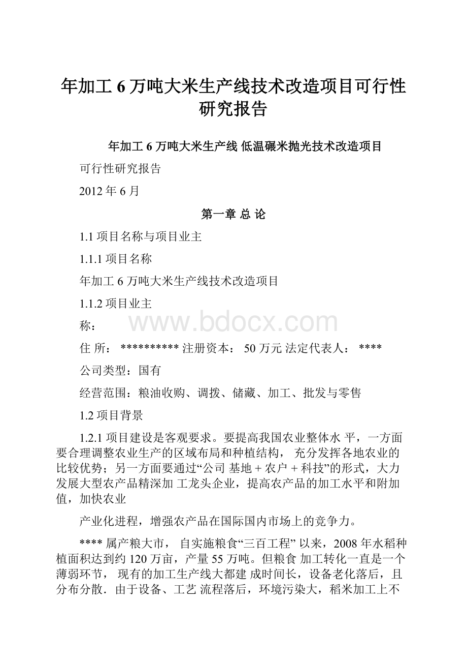 年加工6万吨大米生产线技术改造项目可行性研究报告.docx_第1页