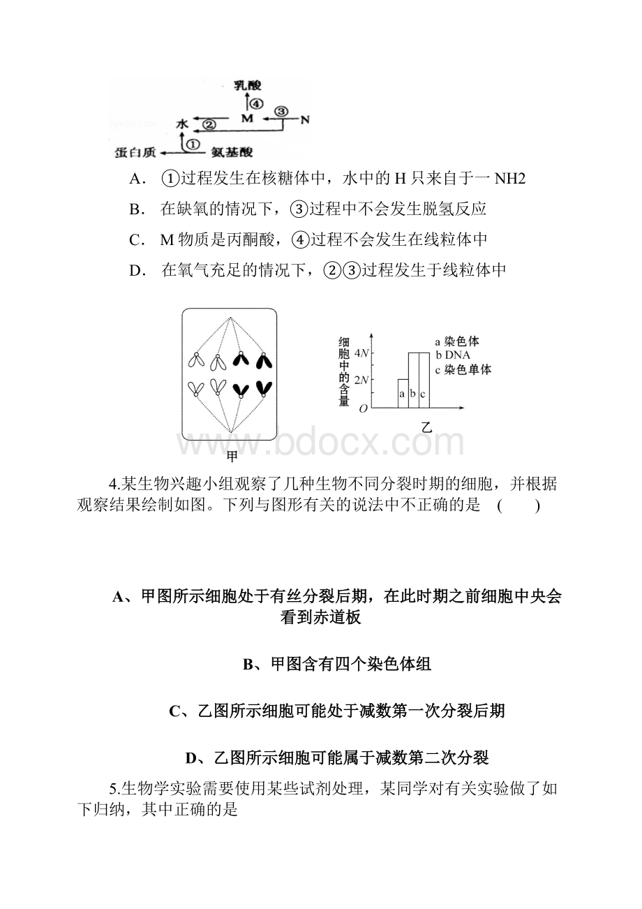 届广东省惠州市高三模拟考试生物试题及答案1Word格式文档下载.docx_第2页