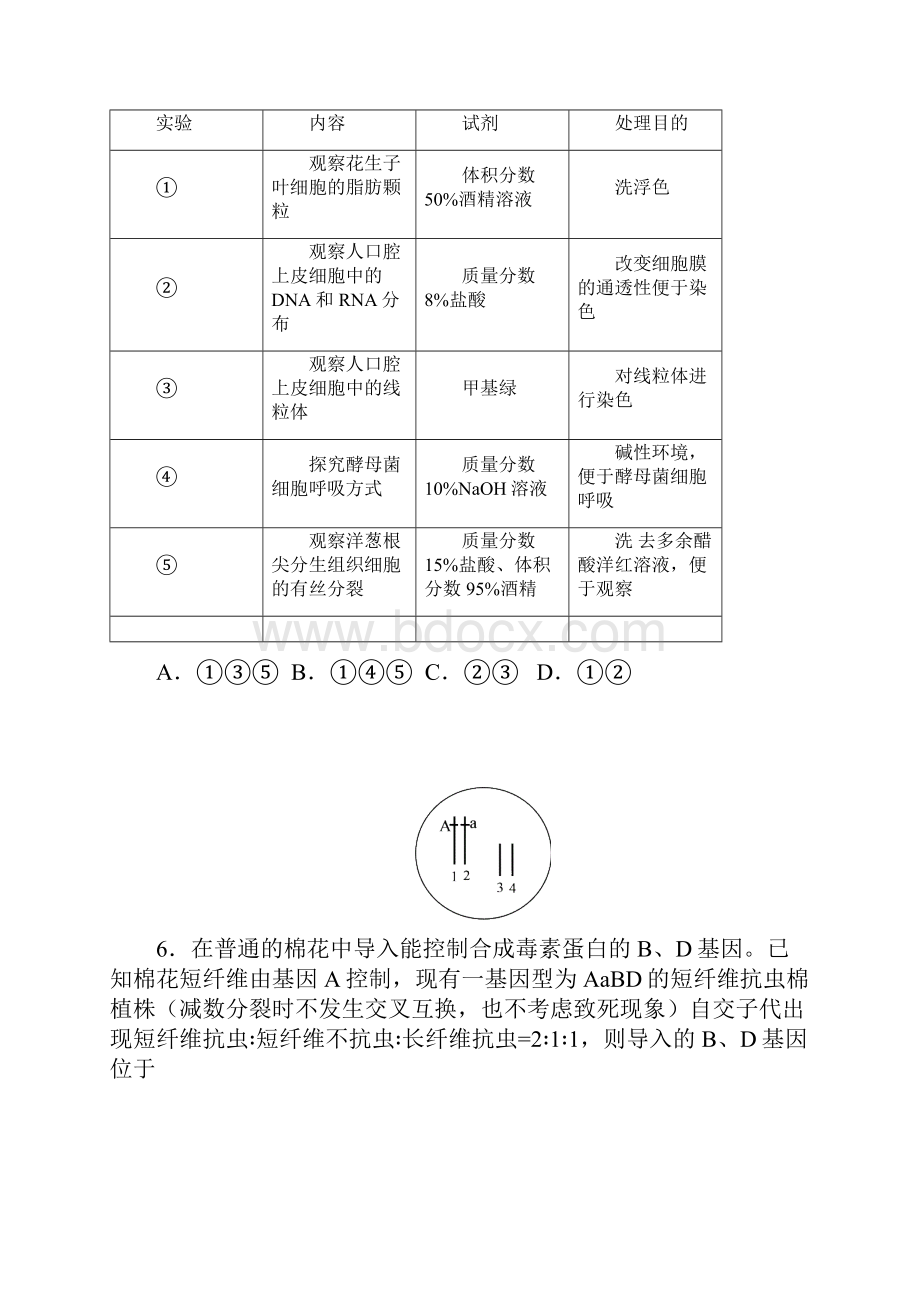 届广东省惠州市高三模拟考试生物试题及答案1Word格式文档下载.docx_第3页