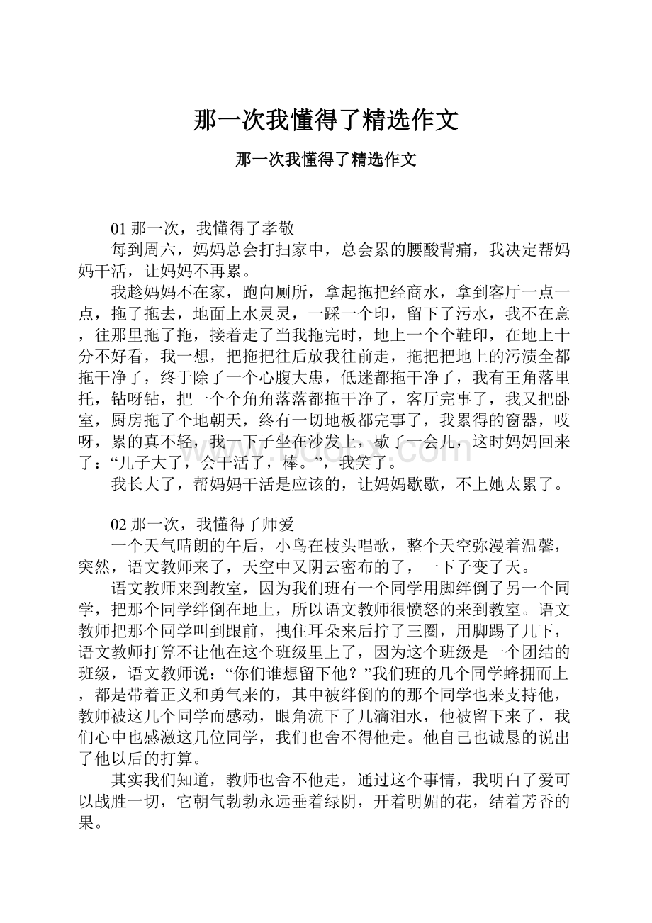 那一次我懂得了精选作文文档格式.docx_第1页