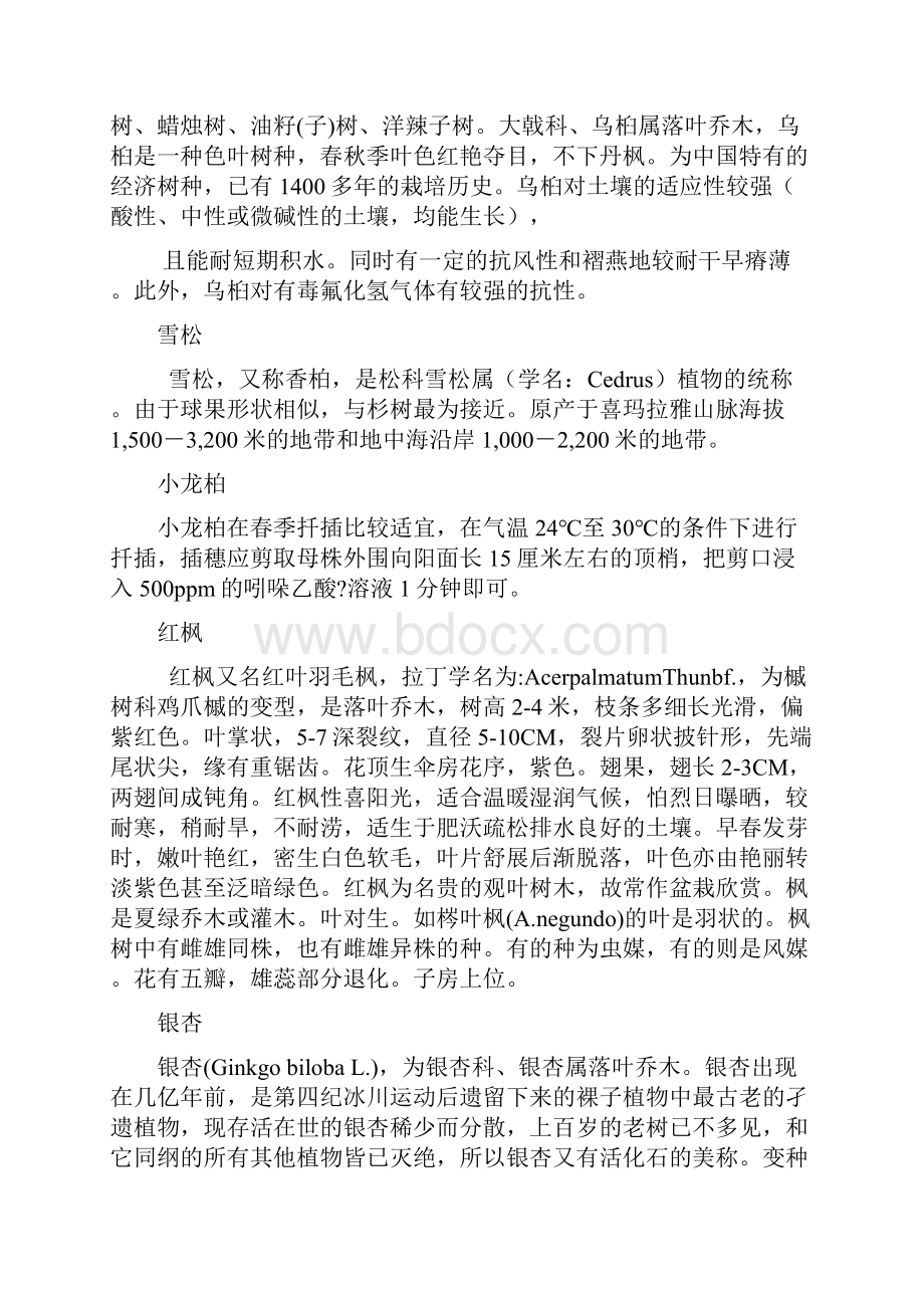 园林绿化常用乔木灌木Word文件下载.docx_第2页