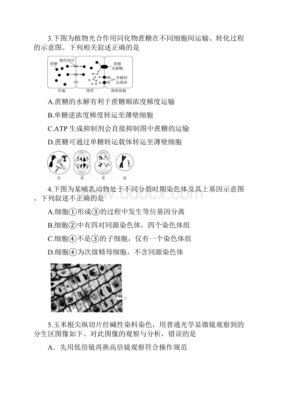 北京海淀区高三第二学期生物期中练习模拟一Word文档下载推荐.docx_第2页