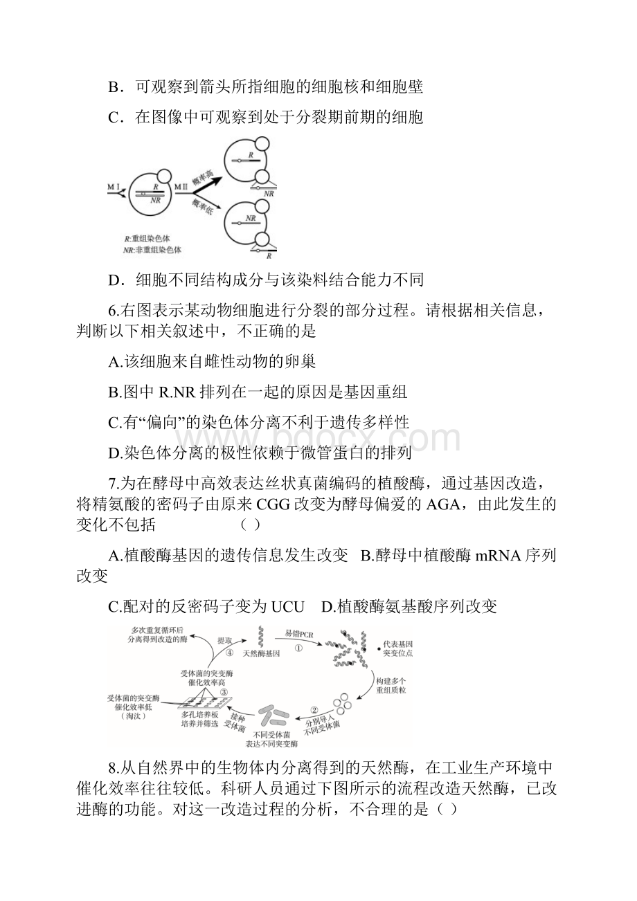 北京海淀区高三第二学期生物期中练习模拟一Word文档下载推荐.docx_第3页