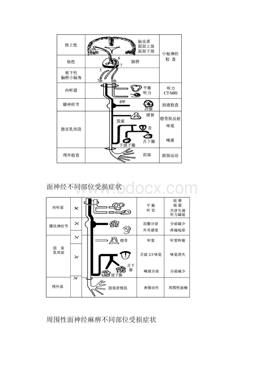 神经系统病例分析习题集.docx_第2页