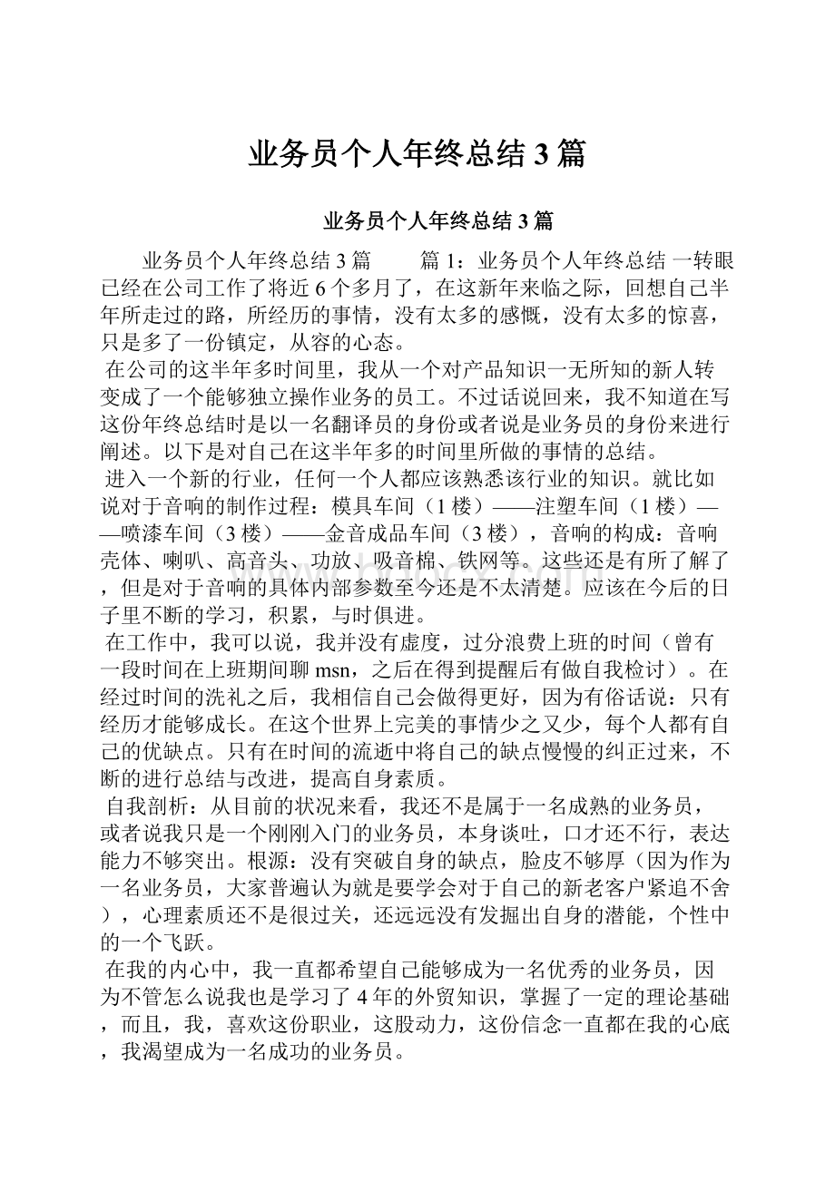 业务员个人年终总结3篇文档格式.docx_第1页