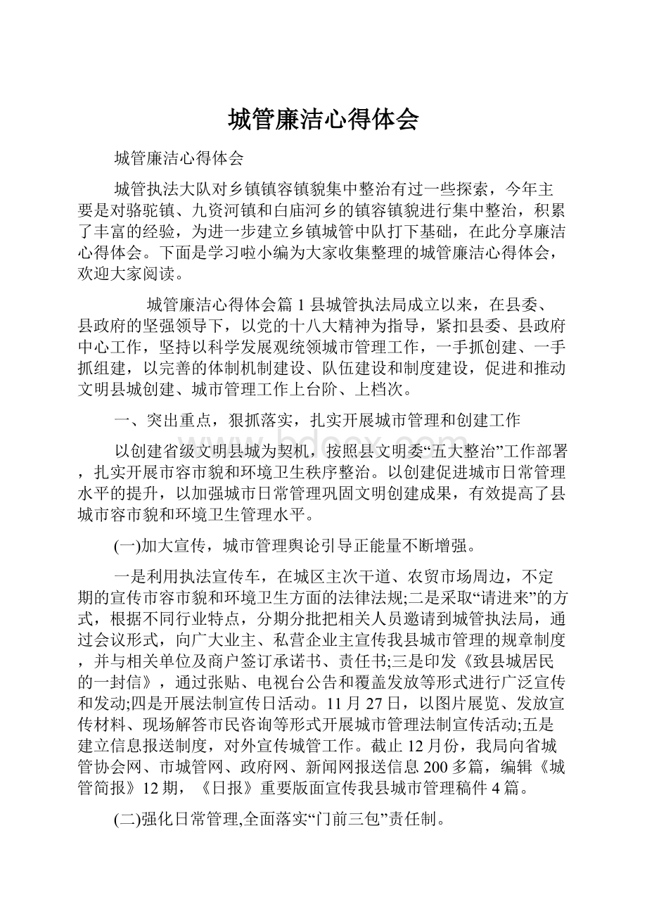 城管廉洁心得体会Word格式.docx